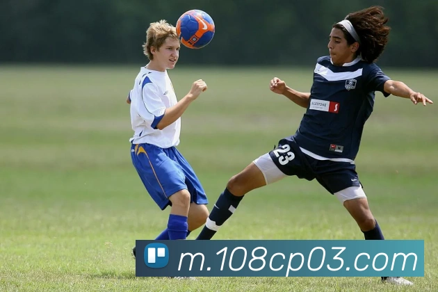 互动解说服务